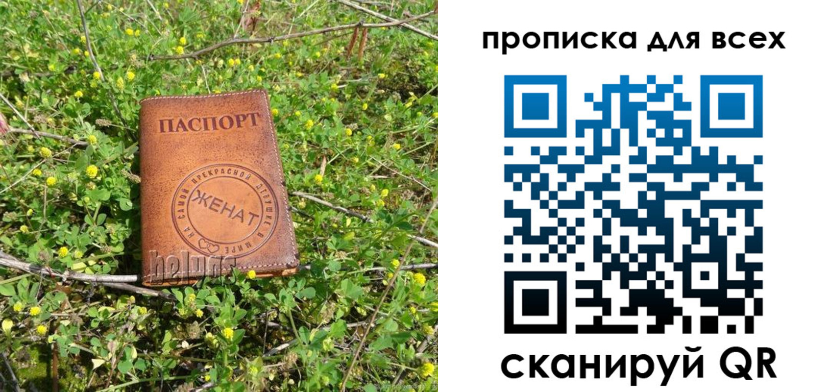 прописка поиск в Новой Ляле